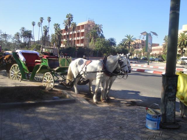 La Fontaine Leilighet Marrakesh Eksteriør bilde